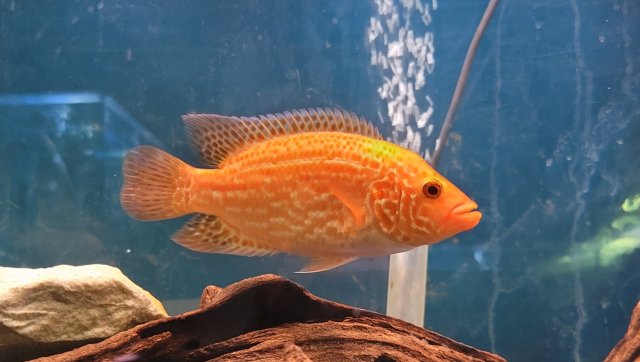 20220220_182453.jpg 20220220_182453.jpg