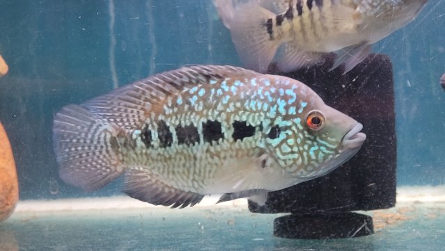 20231028_123805.jpg 20231028_123805.jpg