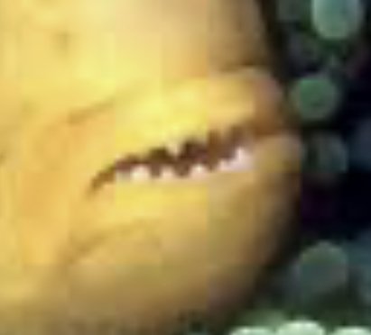 IMG_2407.jpeg