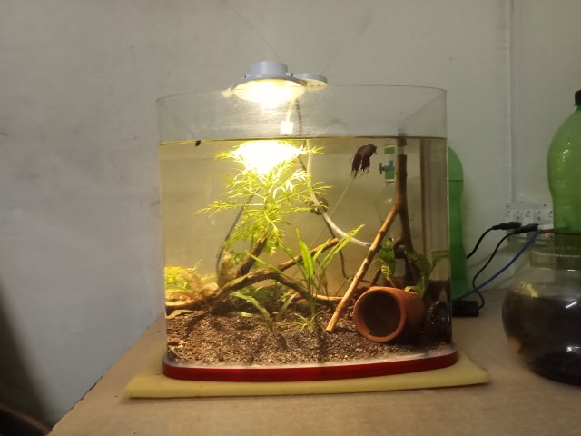 IMG20231128181204.jpg IMG20231128181204.jpg