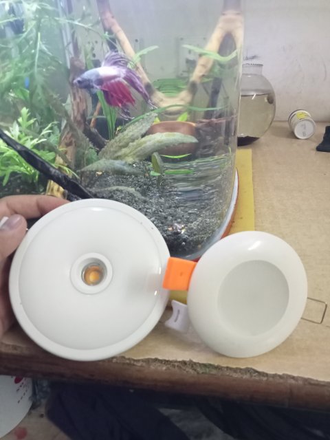 IMG20231128183130.jpg IMG20231128183130.jpg