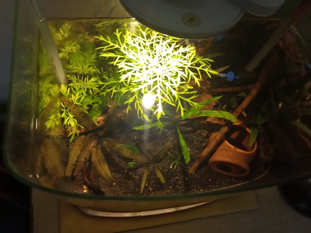 IMG20231128181235.jpg IMG20231128181235.jpg