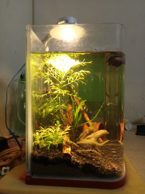 IMG20231128181304.jpg IMG20231128181304.jpg