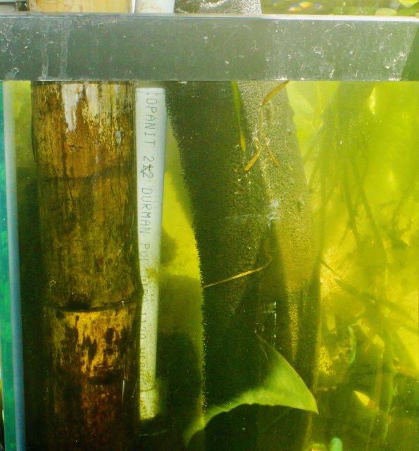 IMG_1743.jpeg IMG_1743.jpeg