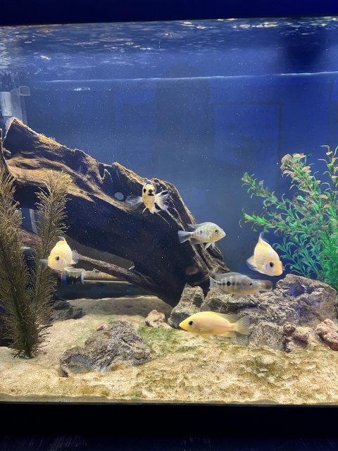 IMG_7241.jpeg IMG_7241.jpeg