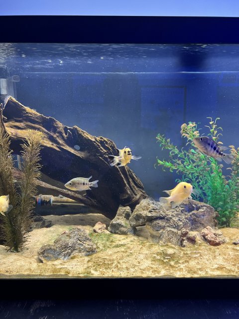 IMG_7243.jpeg IMG_7243.jpeg