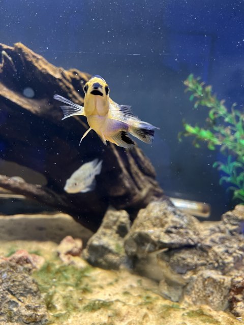 IMG_7246.jpeg IMG_7246.jpeg