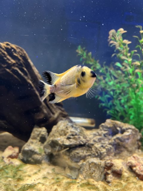 IMG_7247.jpeg IMG_7247.jpeg