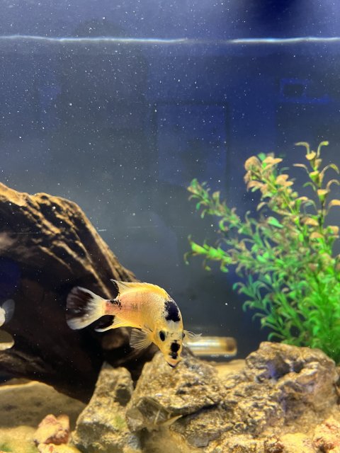 IMG_7254.jpeg IMG_7254.jpeg