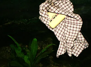 1701373134998.png 1701373134998.png