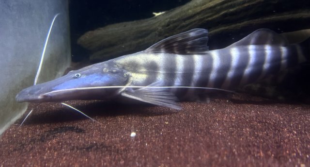 IMG_3861.jpeg IMG_3861.jpeg