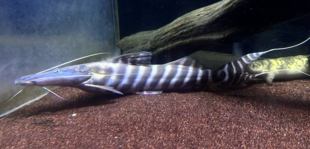 IMG_3864.jpeg IMG_3864.jpeg