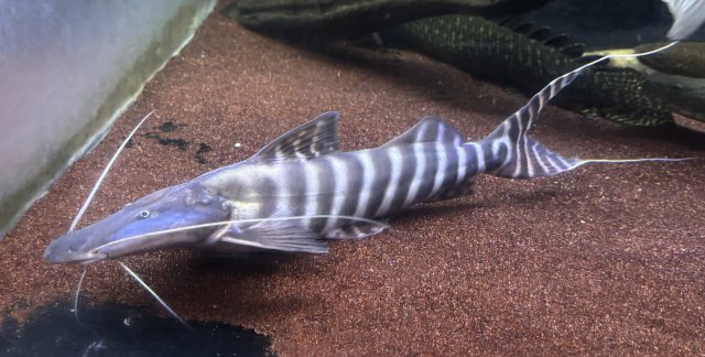 IMG_3893.jpeg IMG_3893.jpeg