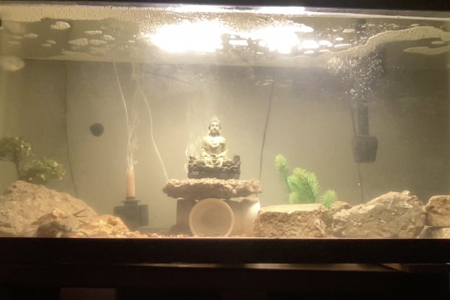 Photo on 12-1-23 at 10.48 PM.jpg