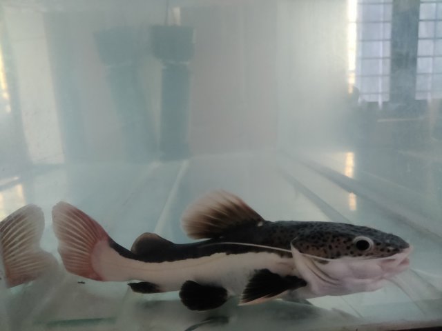 IMG_20231202_154929.jpg IMG_20231202_154929.jpg