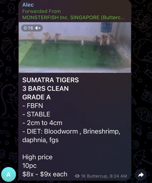 IMG_7329.jpeg IMG_7329.jpeg