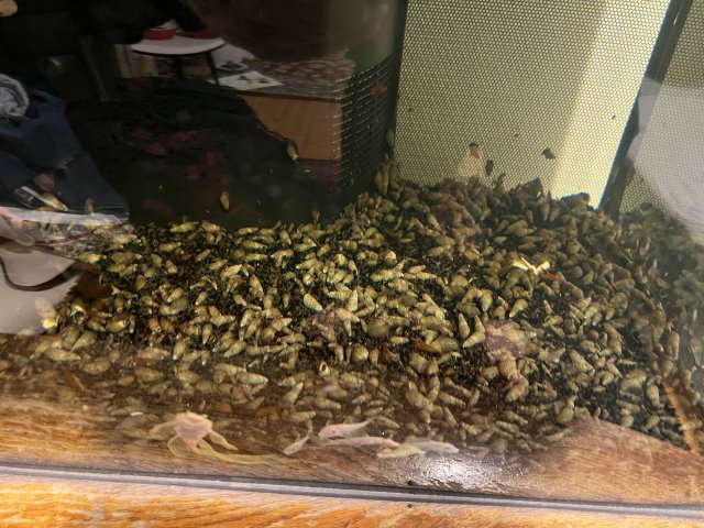 IMG_8765.jpeg IMG_8765.jpeg