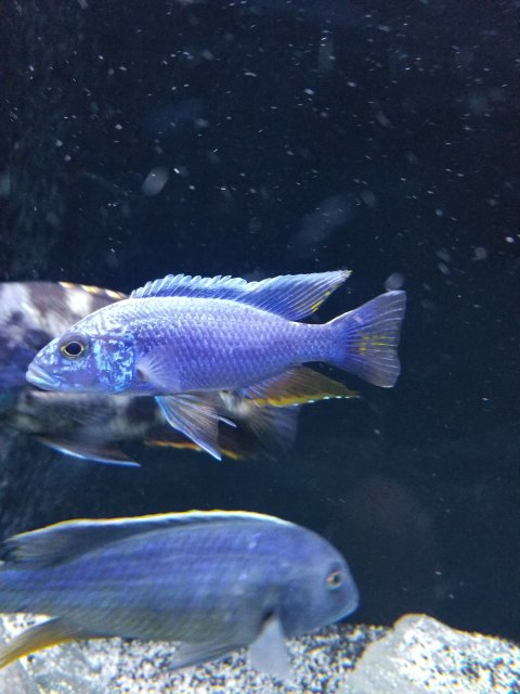 20231126_192403.jpg