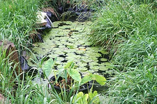 1702296296520.png 1702296296520.png