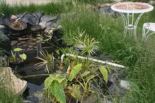 1702296339234.png 1702296339234.png