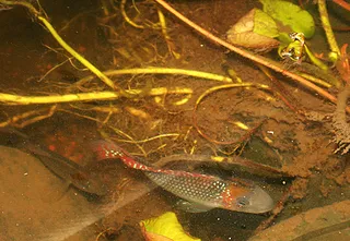 1702297038509.png 1702297038509.png