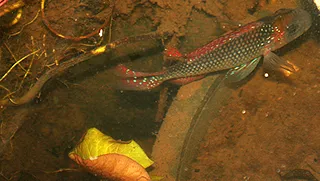 1702297103002.png 1702297103002.png