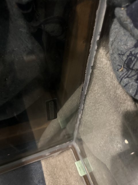 IMG_4873.jpeg
