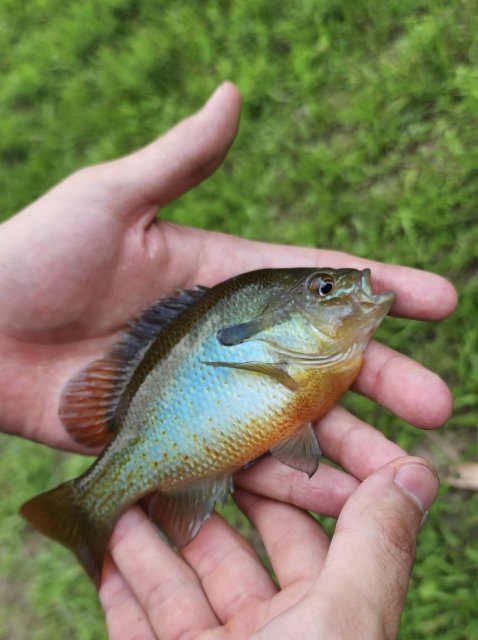 20230723_163431_Original.jpeg 20230723_163431_Original.jpeg