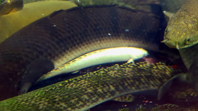 KakaoTalk_20231212_113451485_09.jpg