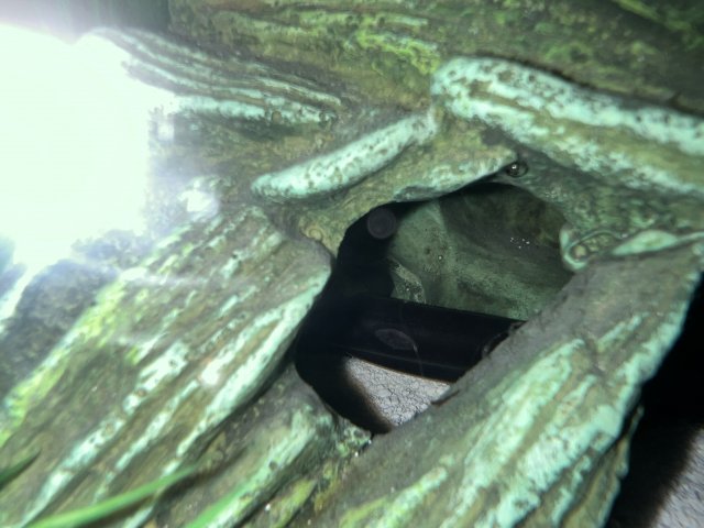 IMG_4658.jpeg IMG_4658.jpeg