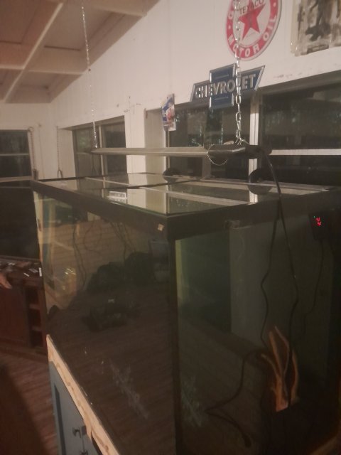 17025306482122722508423291094087.jpg