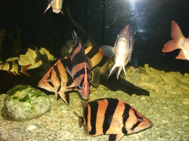 adsc03440.jpg