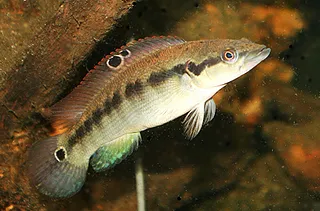 1702749168247.png 1702749168247.png