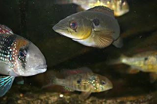 1702749508390.png 1702749508390.png