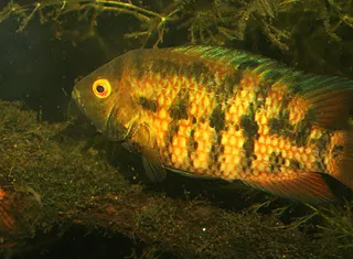 1702753922273.png 1702753922273.png