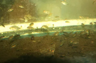 1702754530351.png 1702754530351.png