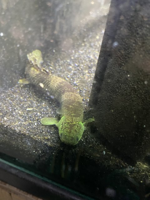 IMG_0490.jpeg IMG_0490.jpeg