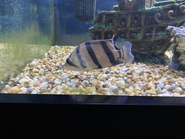 IMG_1276.jpeg