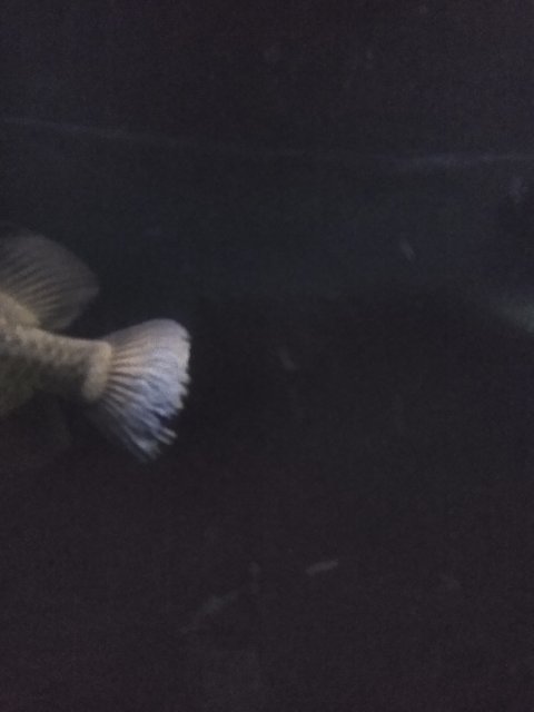 IMG_20231224_091325266.jpg