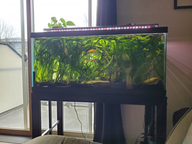 20230408_162300.jpg
