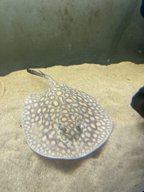 IMG_3553.jpeg