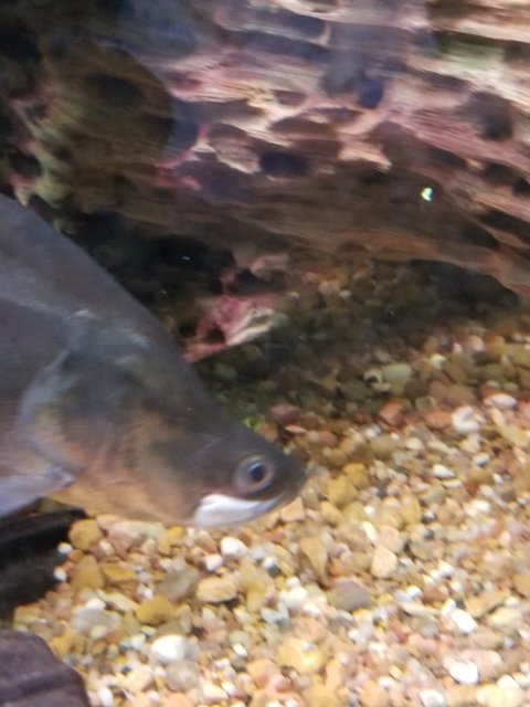 20240104_120041.jpg 20240104_120041.jpg