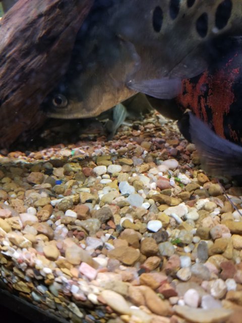 20240104_120010.jpg 20240104_120010.jpg