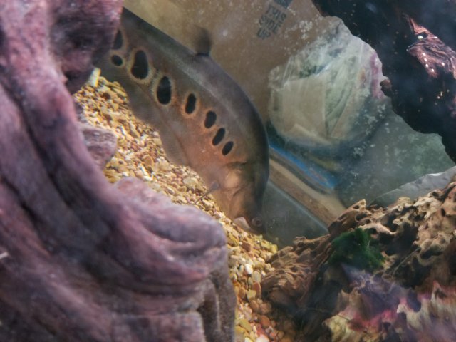 20240104_115939.jpg 20240104_115939.jpg