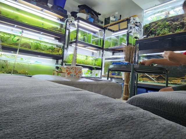 20230810_191714.jpg 20230810_191714.jpg