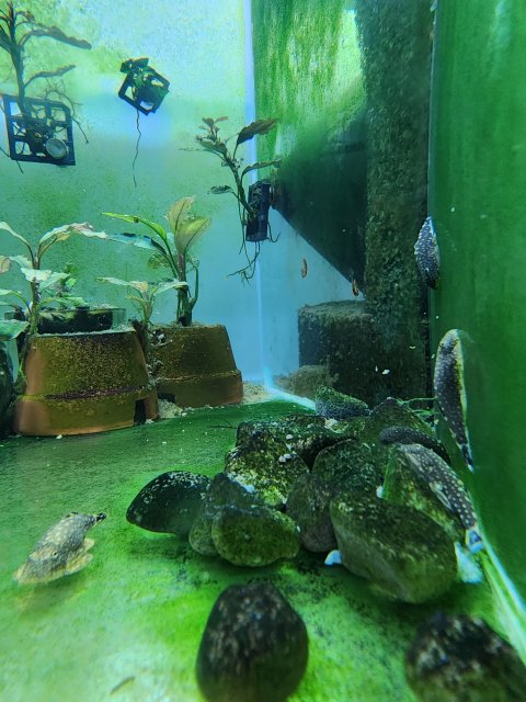 20230728_204038.jpg