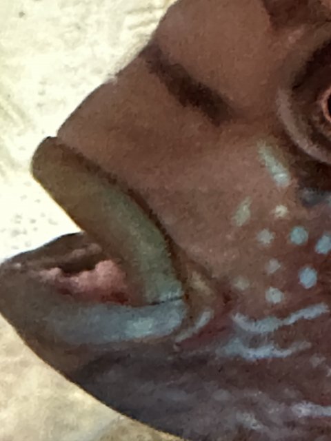 IMG_1110.jpeg IMG_1110.jpeg