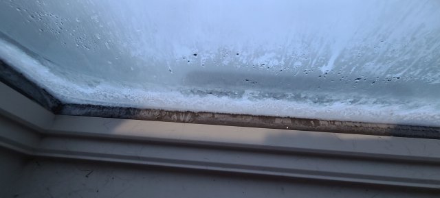 20240112_165813.jpg