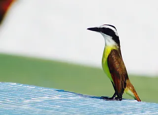 1705526811265.png