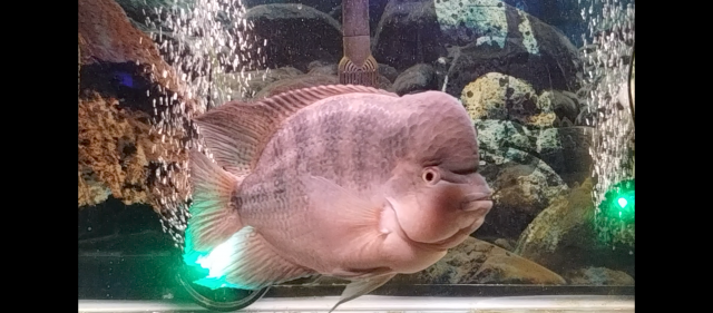 Screenshot_20240118-053320.png Screenshot_20240118-053320.png